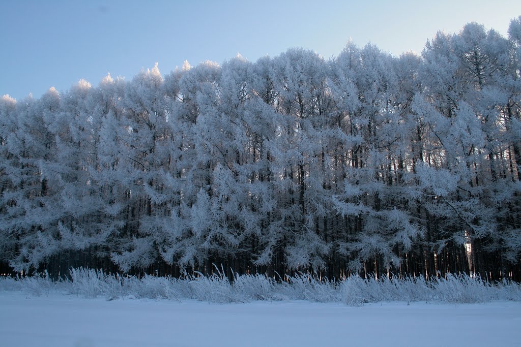 Рамешки. Парк