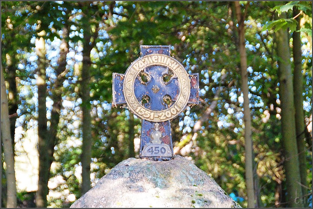 Рамешки. 450 лет