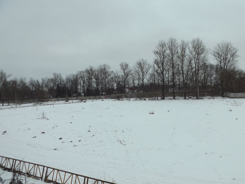 Ржев