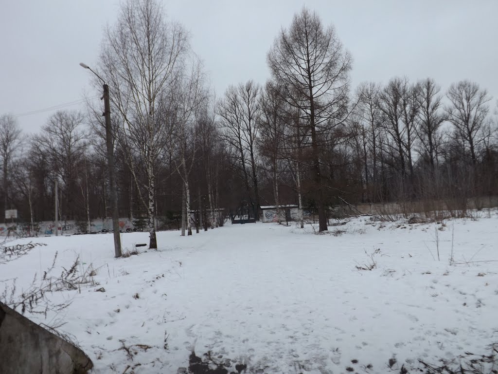 Ржев