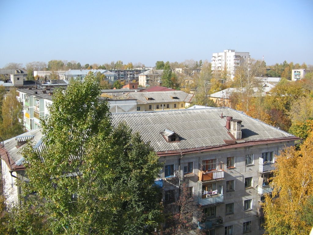 Вид с колеса обозрения на запад / View from a big wheel on West