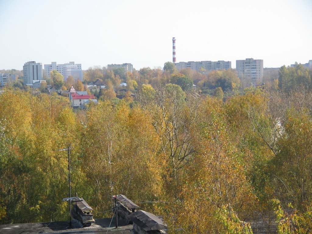 Вид с колеса обозрения на восток / View from a big wheel on east