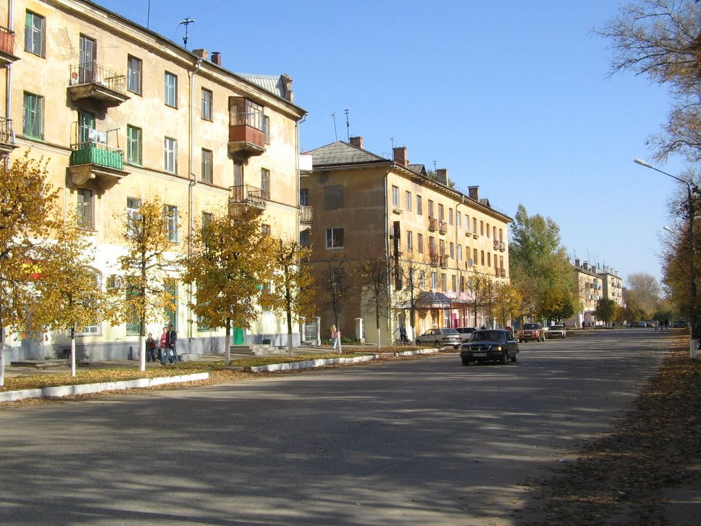 Дома на Советской площади / Houses on Sovietskaya Square