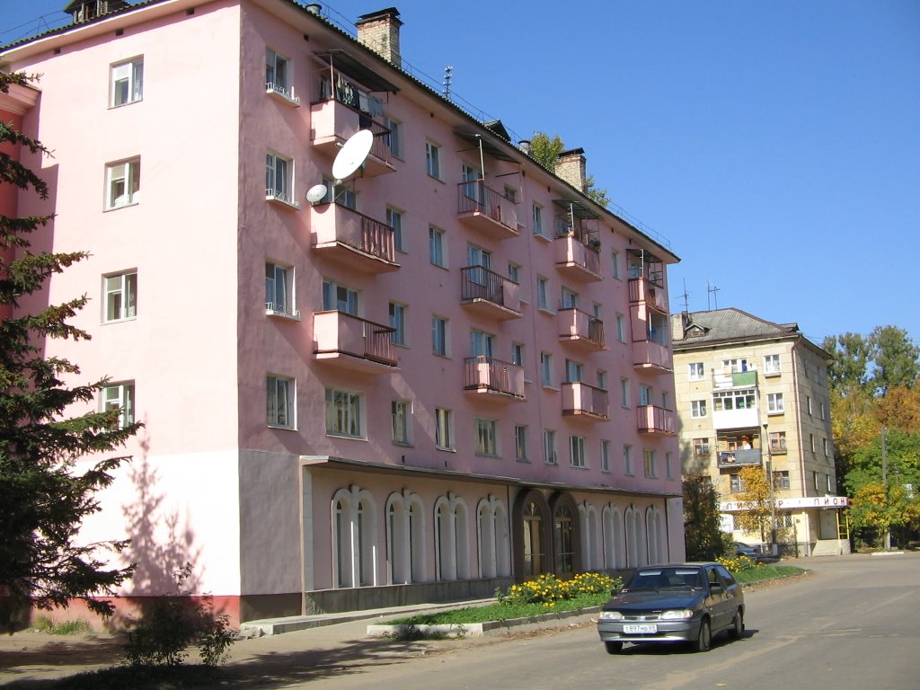 Розовый дом / Pink House