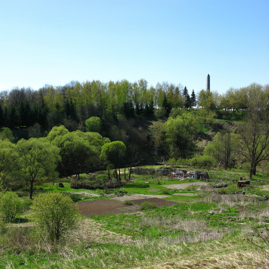 огороды