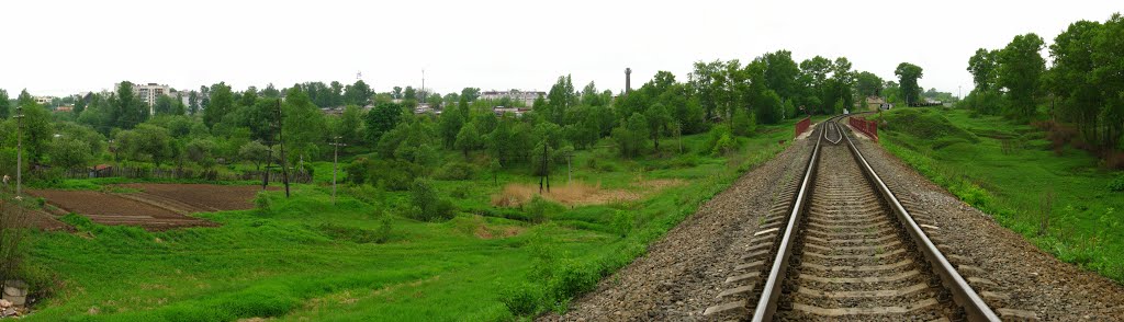 холынка