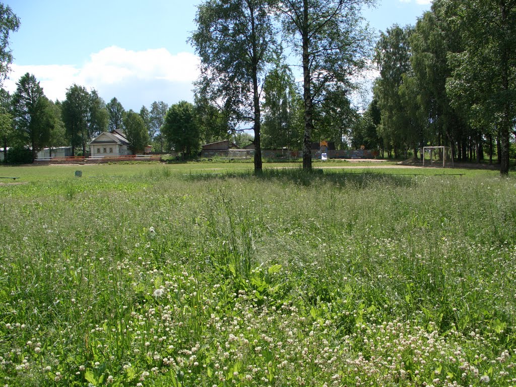 Парк в центре.
