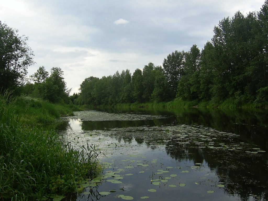 Река Селижаровка (The Selizharovka river)