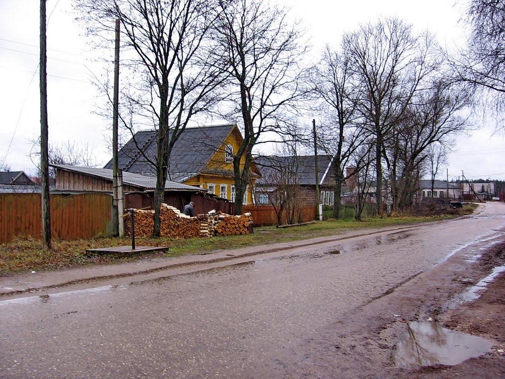 Селижарово