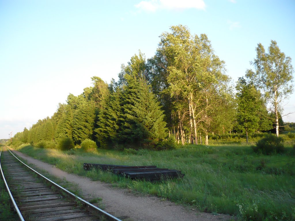 жд в Селижарове