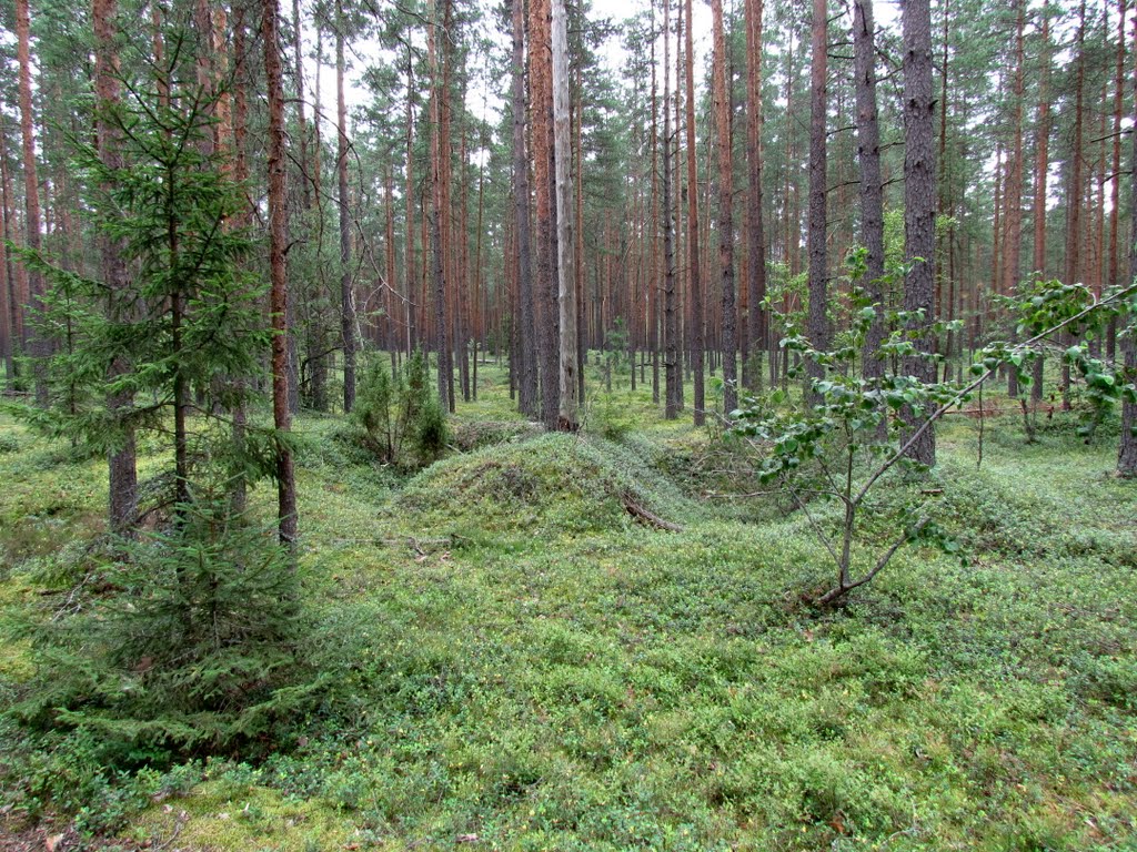 Окопы