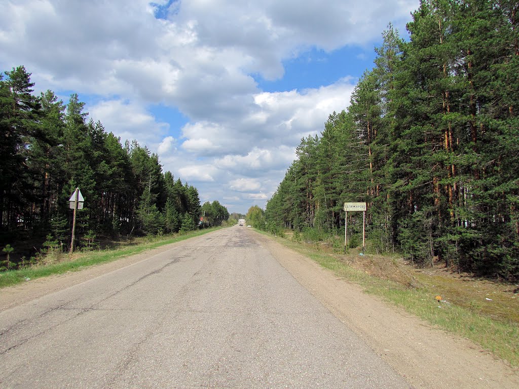 Дорога в Селижарово