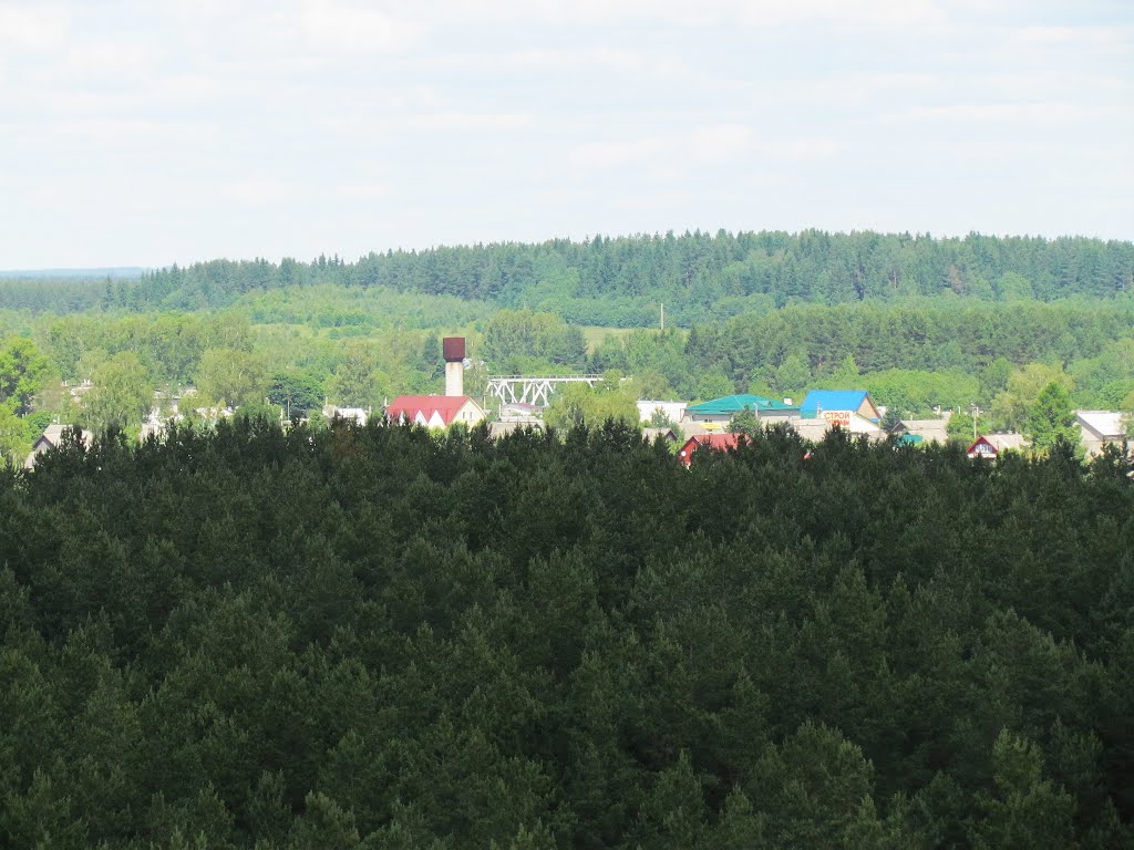 Селижарово