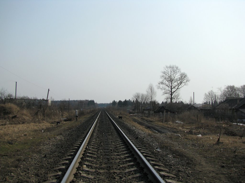Сонково. Переезд