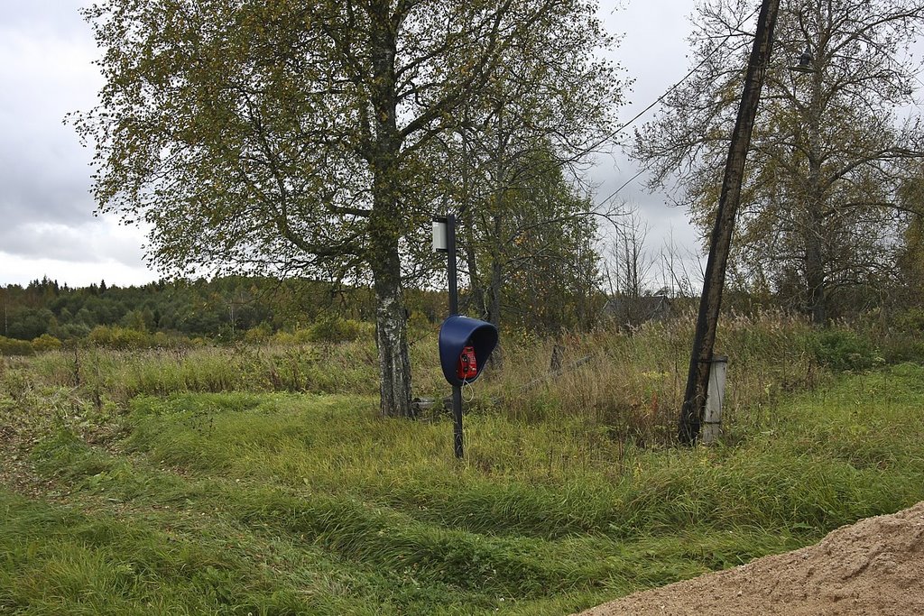 Village near Spirovo, Tver region