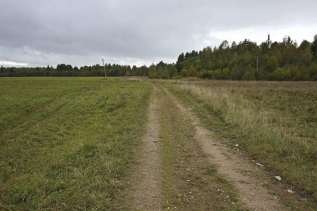 Village near Spirovo, Tver region