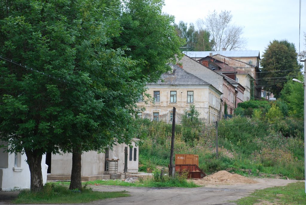 Старица. Остатки старины.