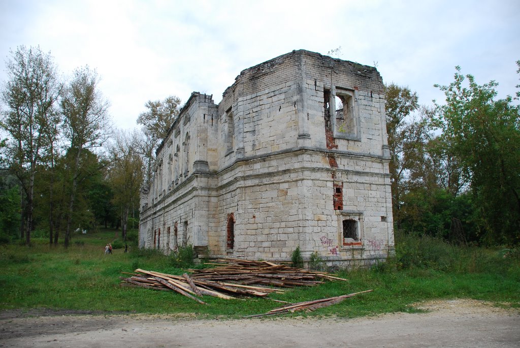 Старица. Руины Воскресенской церкви, вид с востока.