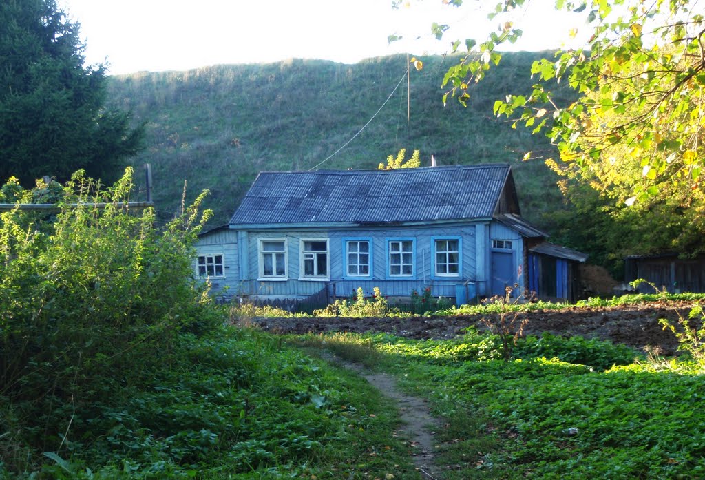 Синий домик