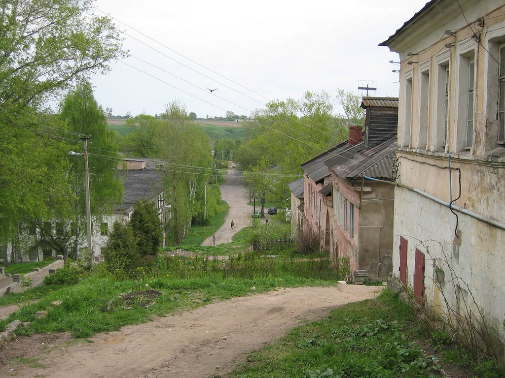 Staritsa4