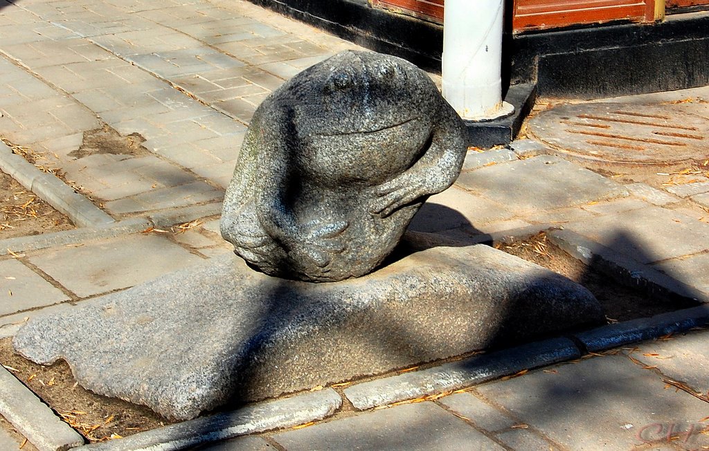 Тверь. Лягушка