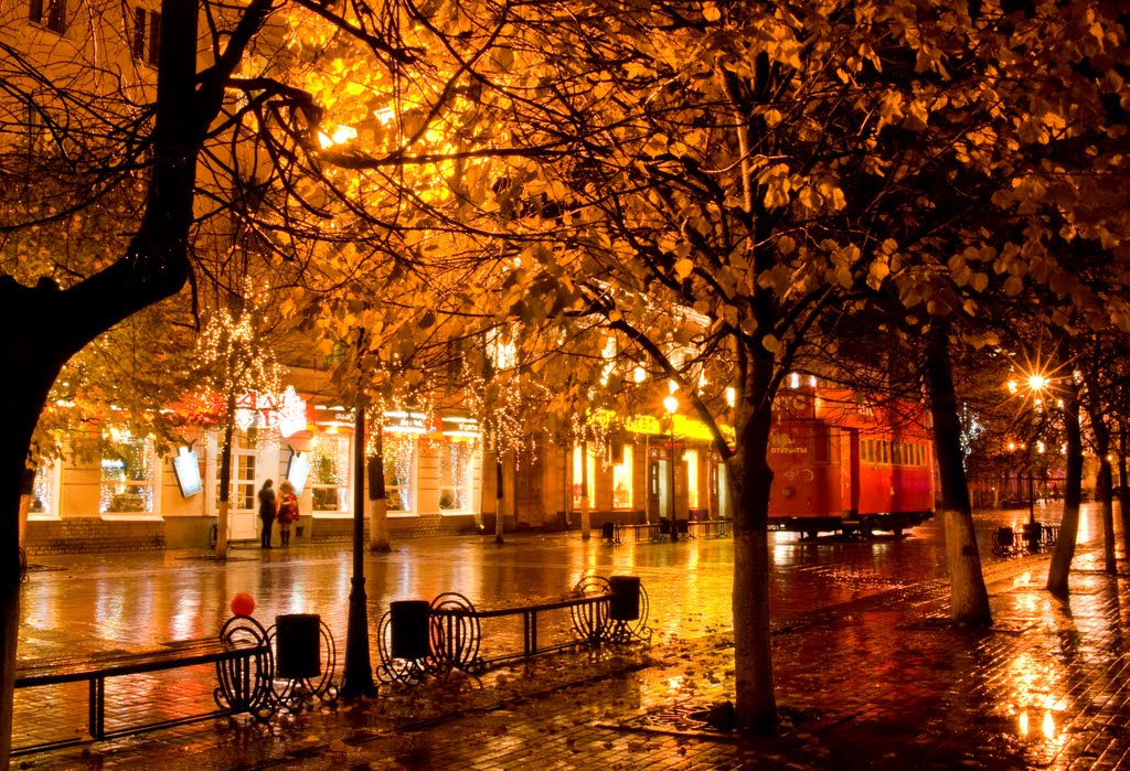 Autumn city.Tver