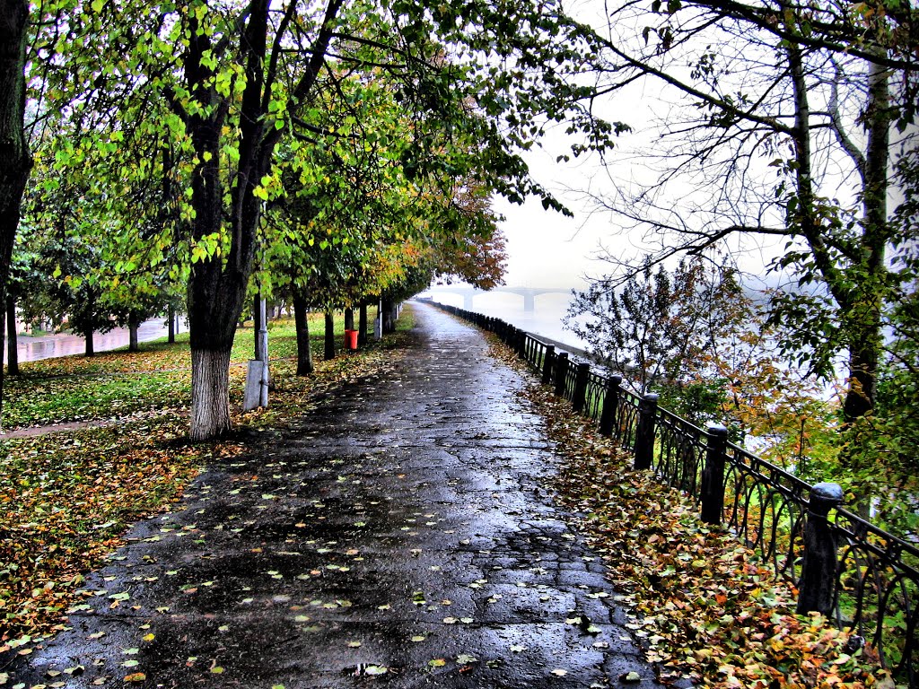 After the rain