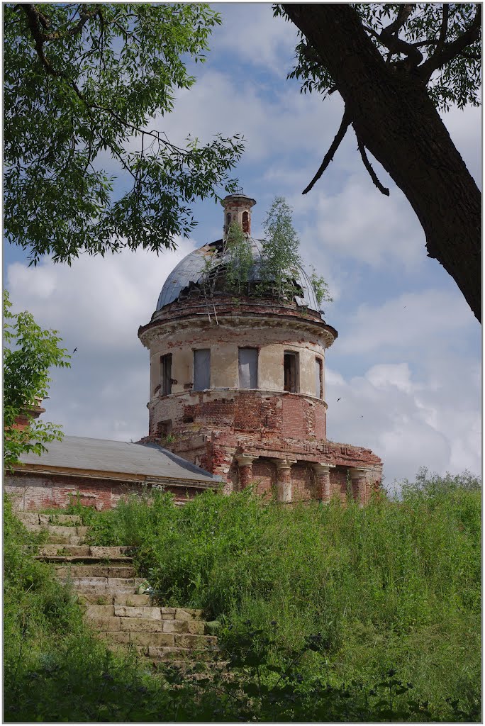 Торжок. Купол Покровской церкви. 07.2012.