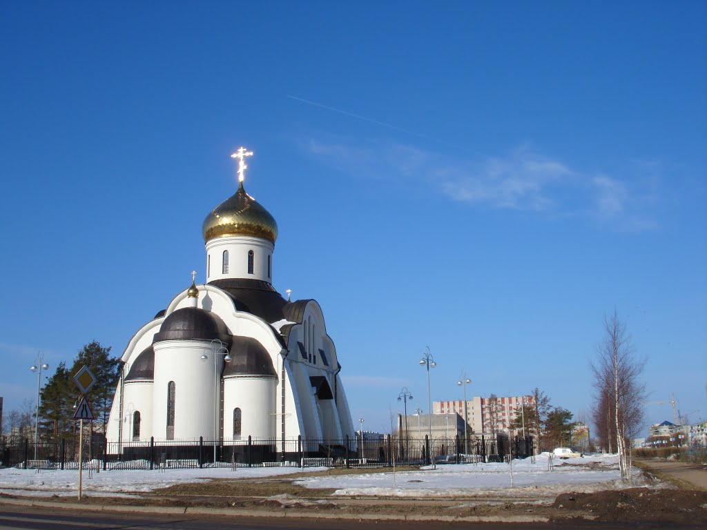Князь-Владимирский собор