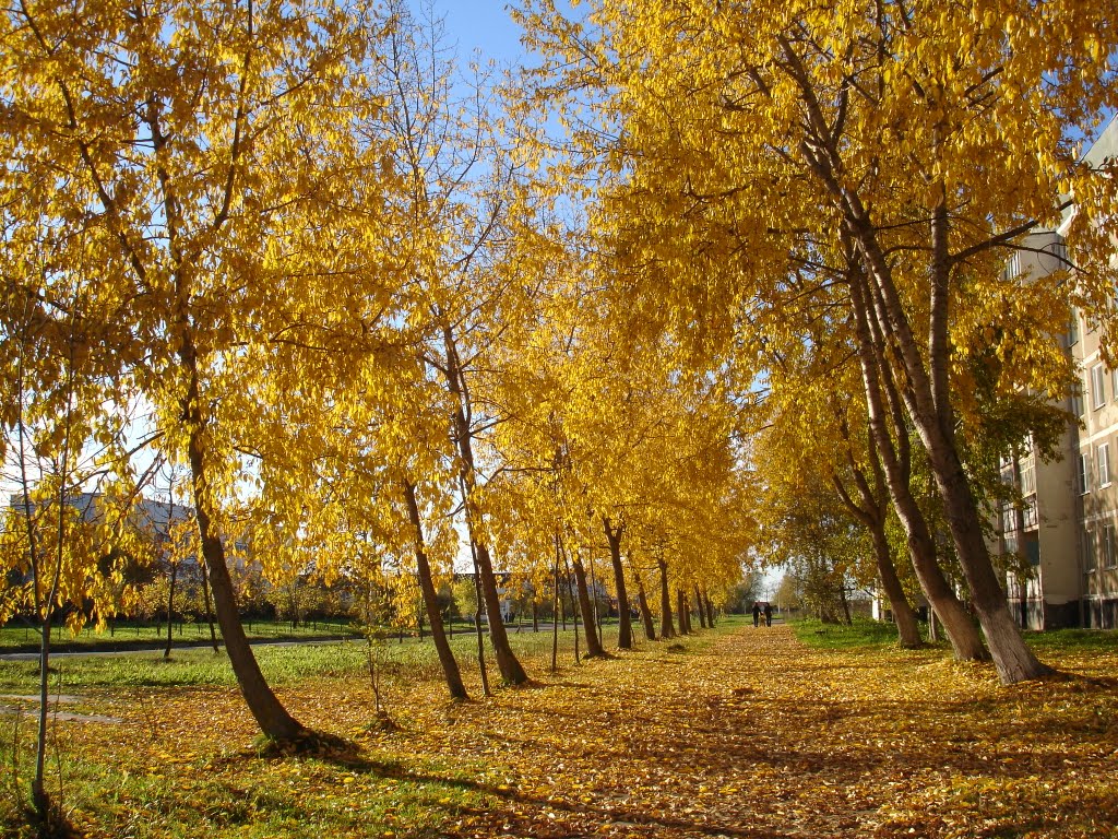 Осень