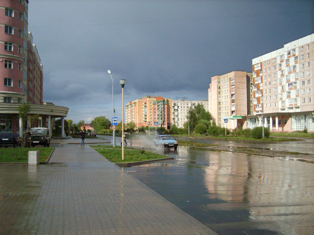 Улица после дождя. 2007г.