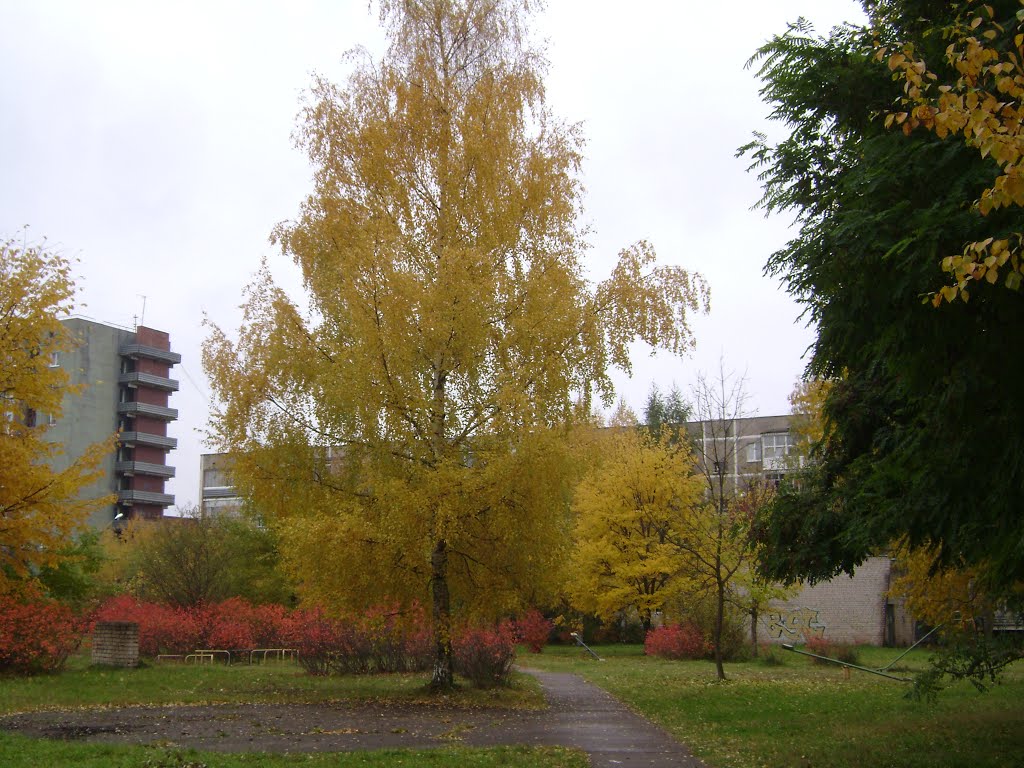 Осень в Удомле