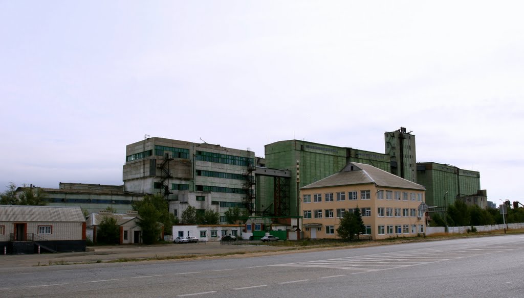 Элестинский элеватор