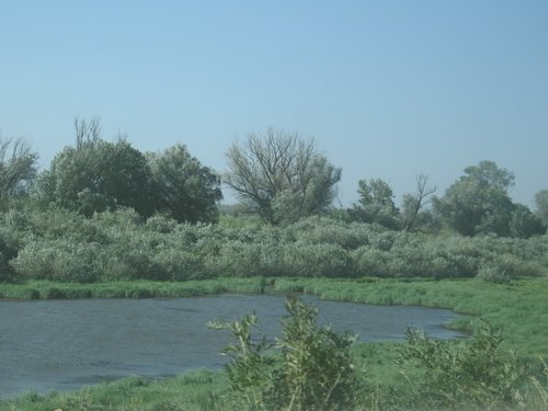 Volga