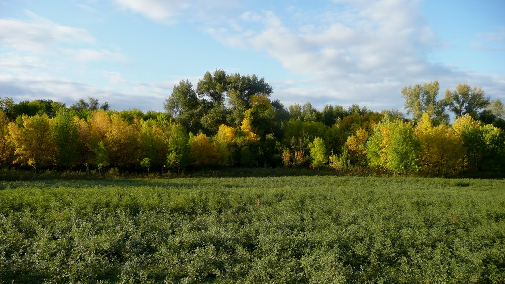 Осень