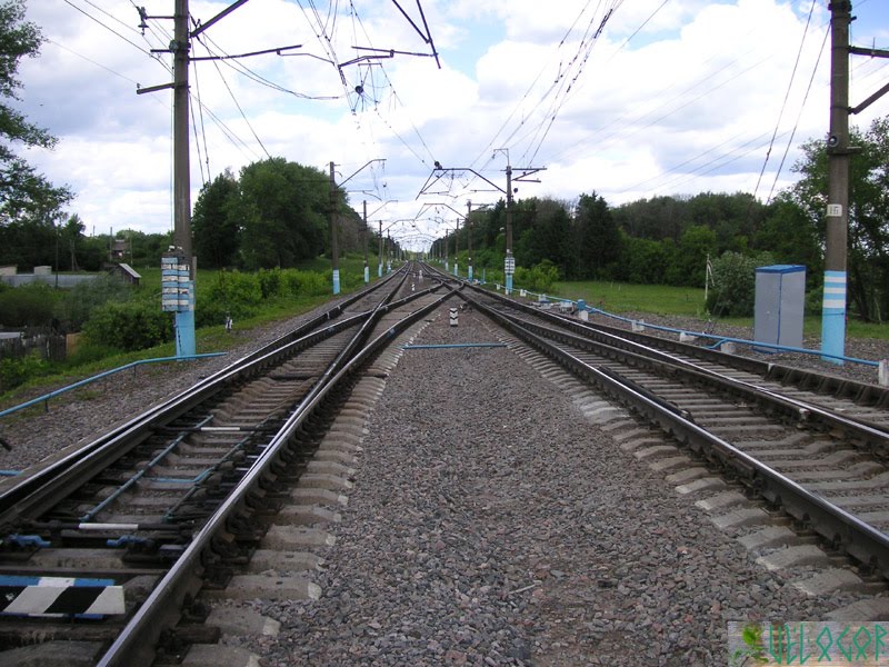 Бабынино