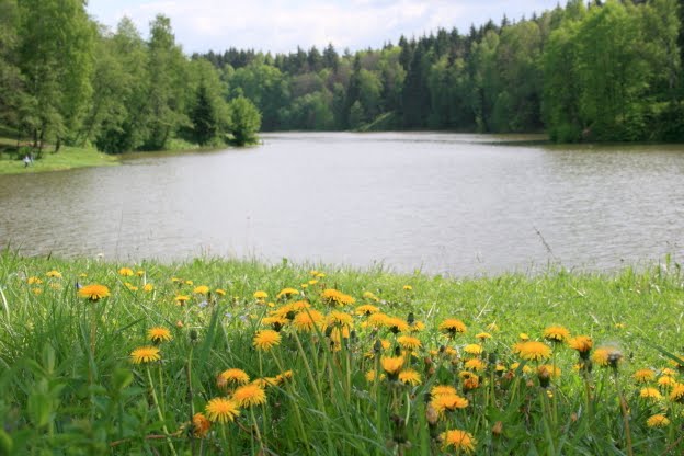 р.Страдаловка