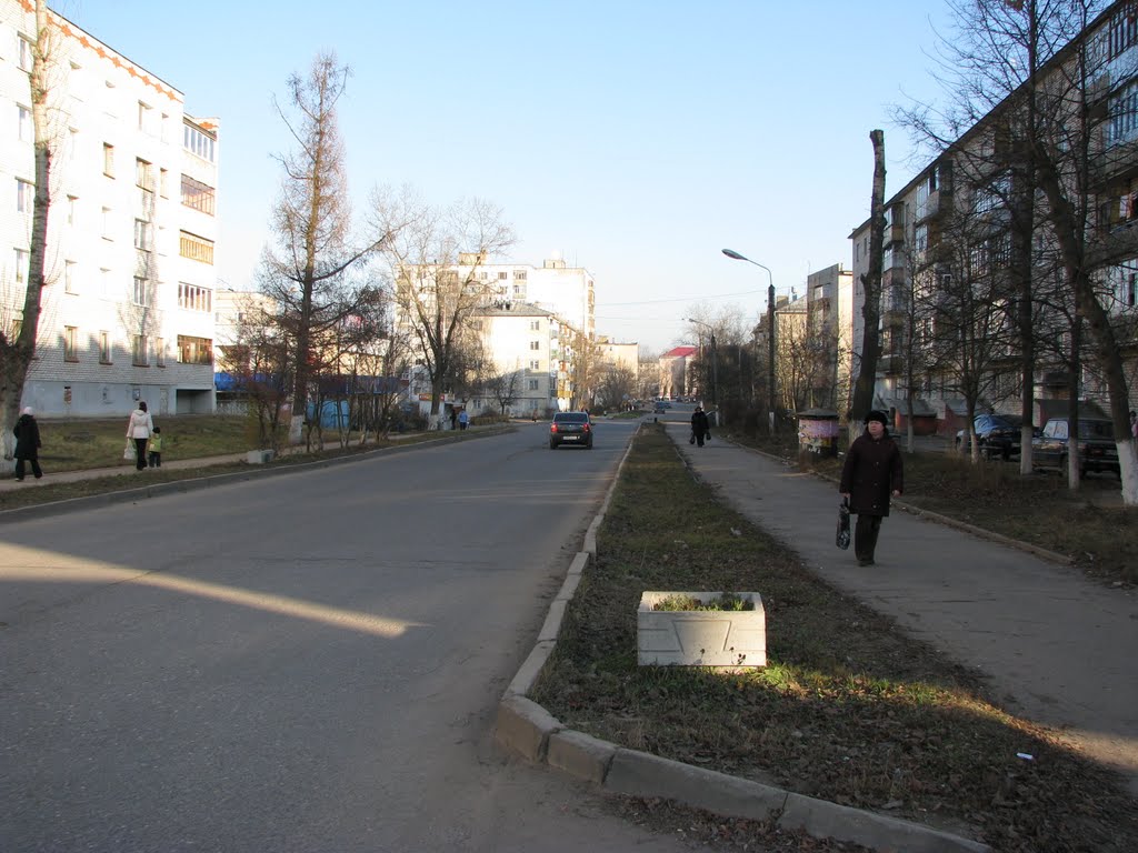 ул Лесная.
