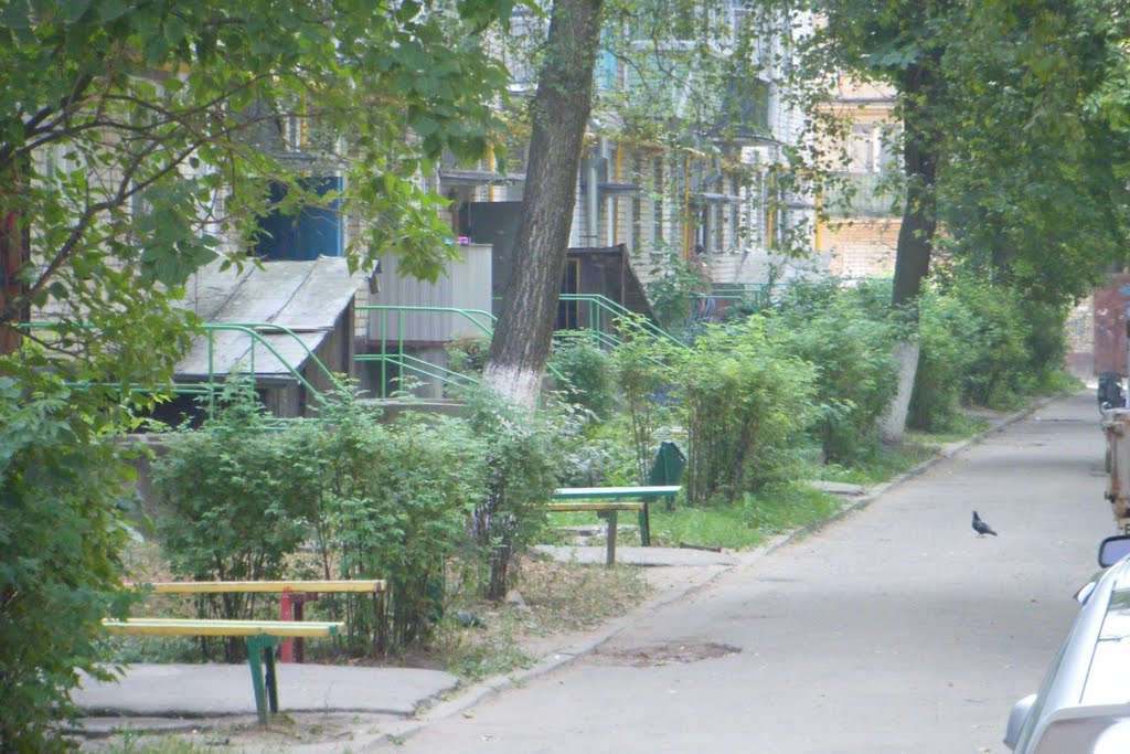 двор
