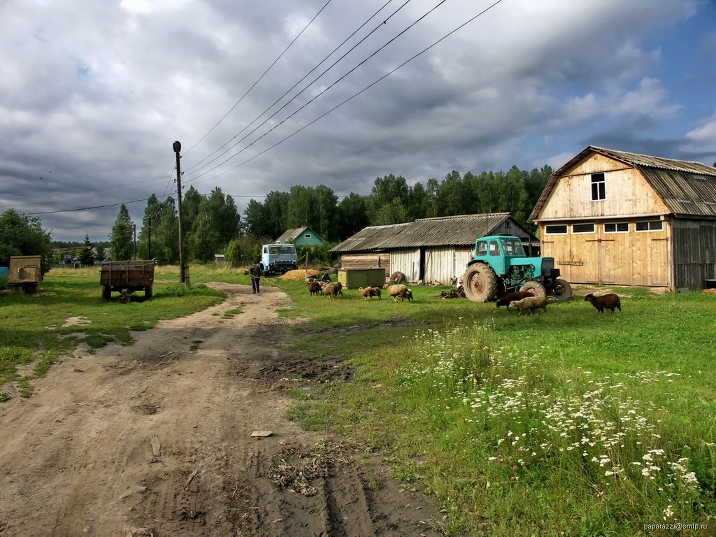Марс (Калужская обл.)
