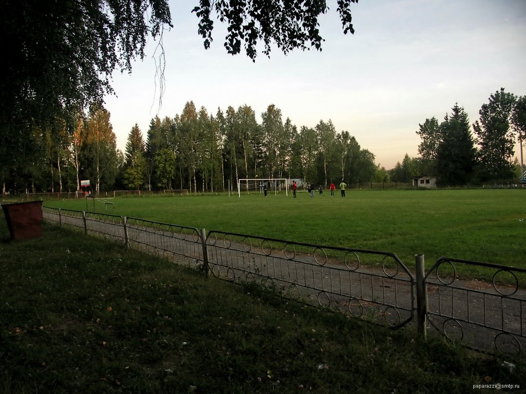 Игроки