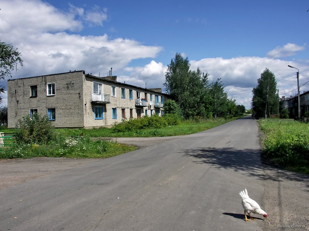 ул.Болдина
