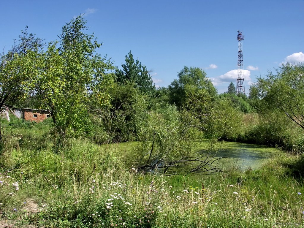 Барятино