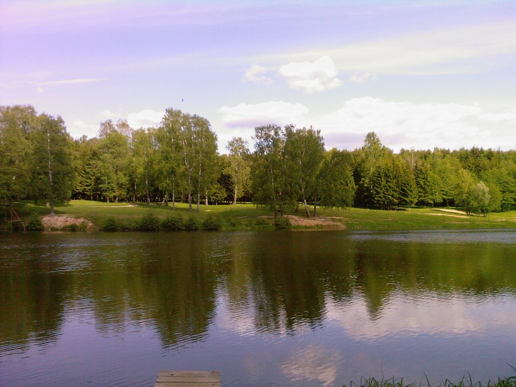 Pond in Belousovo