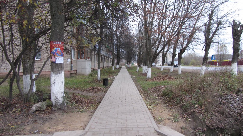Поздняя осень в Белоусово