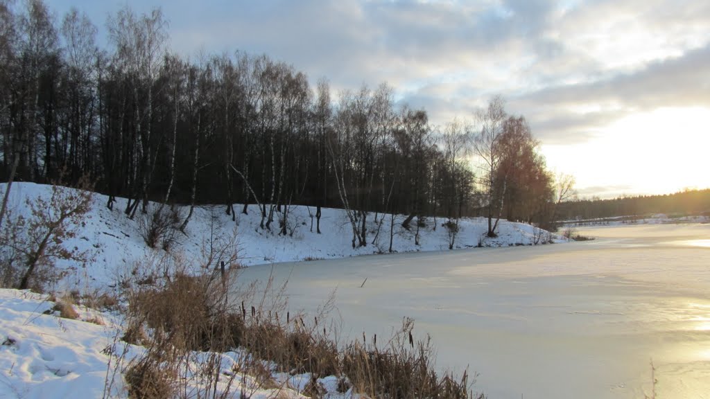 Белоусовский пруд зимой 2012г.