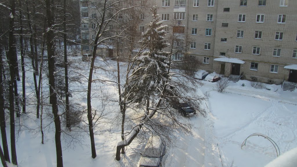 Вид из окна.