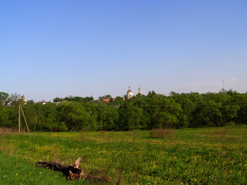 Под Боровском