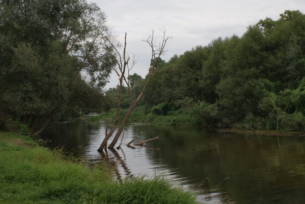 Река в Боровске