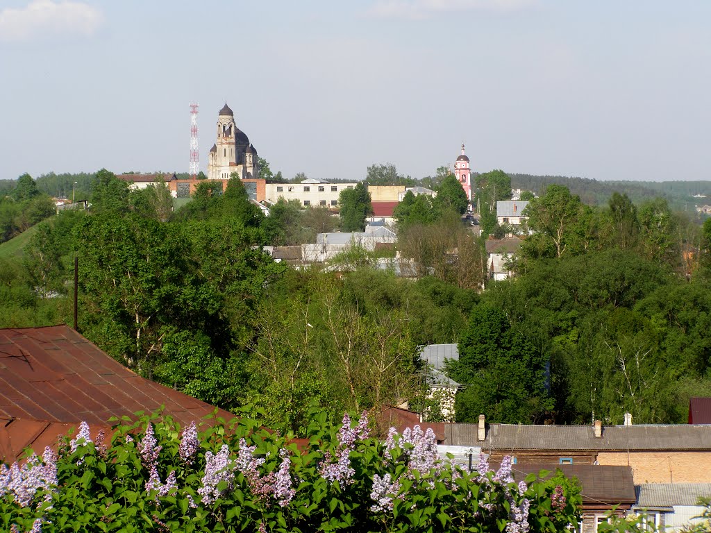 Боровск. Вид на старообрядческий монастырь.